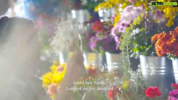 Hala Al Turk Instagram - لا يجب ان تكون جنديا كي تخوض حرب...لا بندقية آمن على الدنيا من القلب... طمأنة زين لرمضان 2022 @zaingroup ❤️ @nadine.nassib.njeim ❤️ Agency: @joy_productions ❤️ Creative Director: @maymalsaleh ❤️ Lyrics: @hebahamada ❤️ Music Composition: @ehab_abd_elwahed ❤️ Recording Engineer: @ameer_gado ❤️