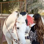 Hala Al Turk Instagram - 🐎🤍