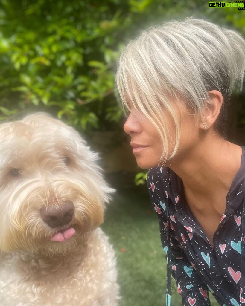 Halle Berry Instagram - Behind every strong woman are her dogs following her to the bathroom. Happy National Doggies Day everybody!