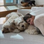 Halle Berry Instagram - Heard its LOVE YOUR PET DAY! Love my boys so much 💕🐶 #loveyourpetday #nationalloveyourpetday