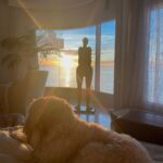 Halle Berry Instagram - This feels right for a Sunday