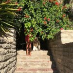Halle Berry Instagram - perfect is an illusion