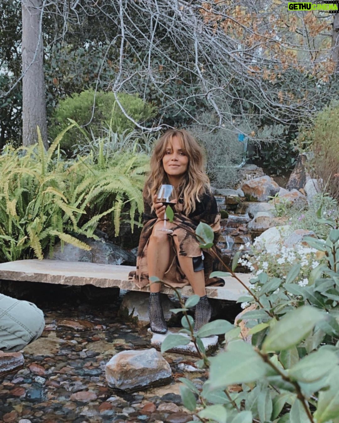 Halle Berry Instagram - toasting evaluation, next acts and reinventions! 😉