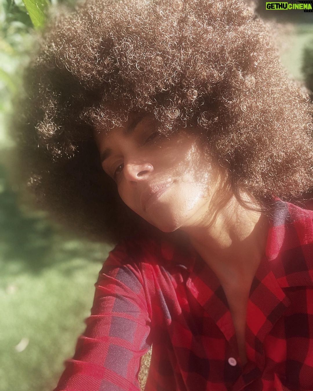 Halle Berry Instagram - Sunday serve…my man loves this. Forward all complaints to him @vanhunt