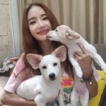 Han Chae-young Instagram - #Hot #Ruby #입양신청해주세요 😍😍 #넘나이쁜아가들 #새로운가족을찾아요 😚 #우리집에해피가왔다 😆😆