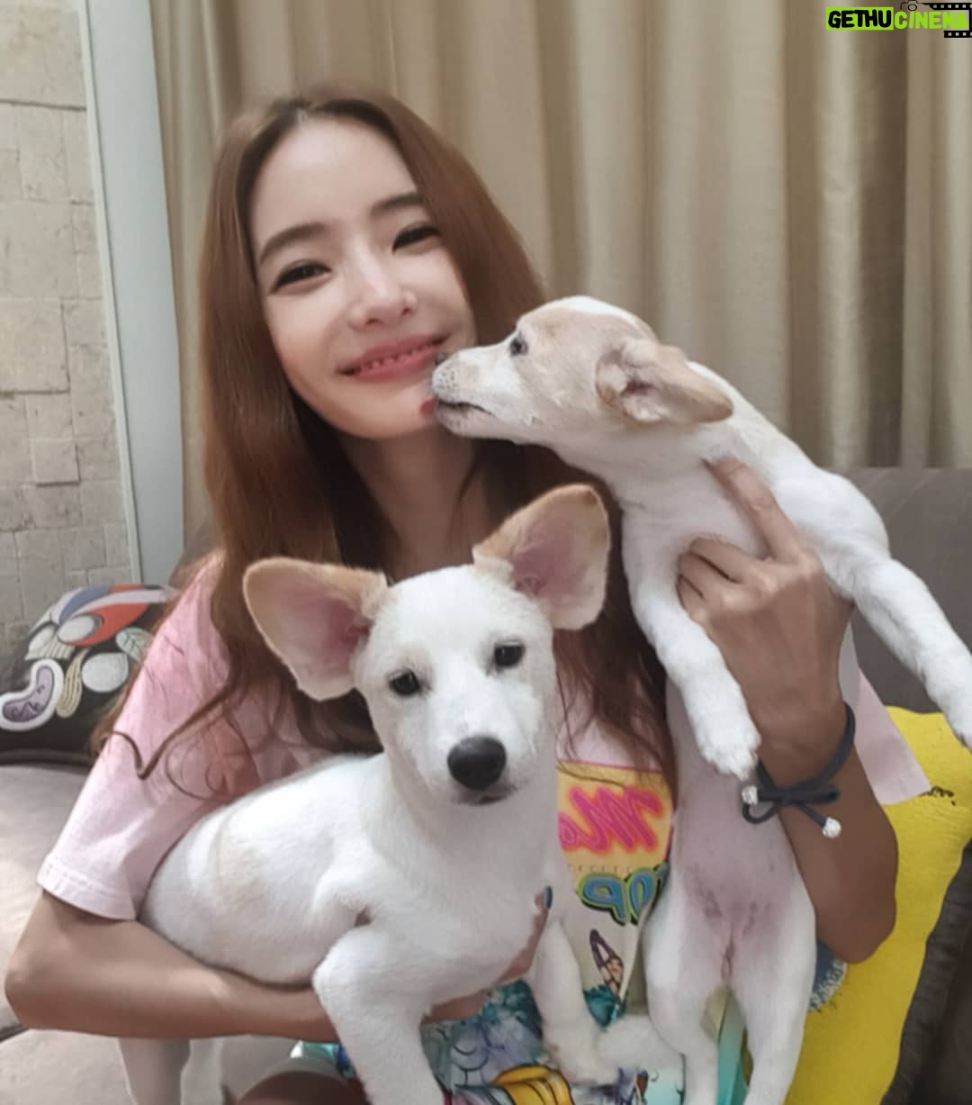 Han Chae-young Instagram - #Hot #Ruby #입양신청해주세요 😍😍 #넘나이쁜아가들 #새로운가족을찾아요 😚 #우리집에해피가왔다 😆😆