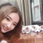 Han Chae-young Instagram - #우리집에해피가왔다 #핫 #루비 #나른한오후 #피고피곤 #Hot #Ruby #asleep #배변훈련완료👌 #pottytrainingdone #awesome 🤗🤗