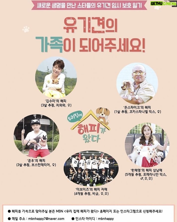 Han Chae-young Instagram - #우리집에해피가왔다 #본방사수📺 #seeyousoon🤩🤩🤩