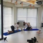 Han Chae-young Instagram - #우리집에해피가왔다 🤩 #도그요가 #쉽지않아😂 #소연이랑❤️ #dogyoga #itsnoteasy 😂😂