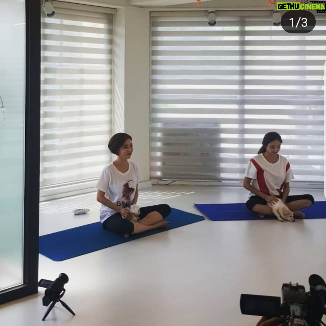 Han Chae-young Instagram - #우리집에해피가왔다 🤩 #도그요가 #쉽지않아😂 #소연이랑❤️ #dogyoga #itsnoteasy 😂😂