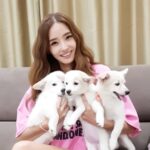 Han Chae-young Instagram - 채영이네 한여름에찾아온 보석같은아이들입니다~ 첫째 남자아이의이름을 지어주세요~ 둘째는 #썸머 #summer 셋째는 # 루비 #ruby can you give him a name?? Gapyeong