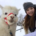 Han Chae-young Instagram – #알파카 #너무귀여워 #alpaca #isntitadorable  #lifeinthefarm Tallinn, Estonia