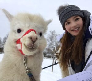 Han Chae-young Instagram - #알파카 #너무귀여워 #alpaca #isntitadorable  #lifeinthefarm