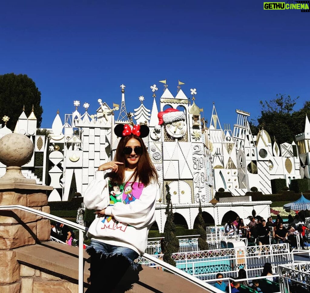 Han Chae-young Instagram - #itsasmallworld #myfavorite #holidaytheme 😍😍😍 Disney California Adventure Park