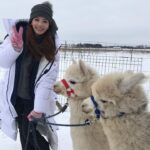 Han Chae-young Instagram – #알파카 #너무귀여워 #alpaca #isntitadorable  #lifeinthefarm Tallinn, Estonia