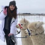Han Chae-young Instagram - #알파카 #너무귀여워 #alpaca #isntitadorable #lifeinthefarm Tallinn, Estonia