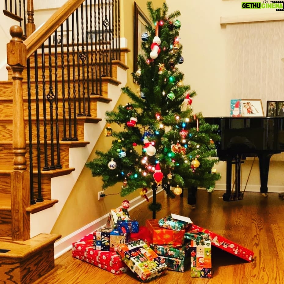 Han Chae-young Instagram - #MerryChristmas🎄