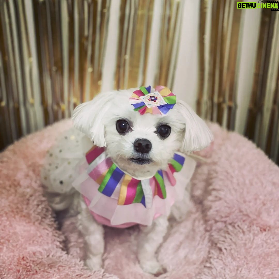 Han Chae-young Instagram - #happy new year ✨️🙌💕