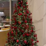 Han Gyu-ri Instagram - 여러분 ❤️ merry christmas 🎄🎄 Hotel Naru Seoul MGallery