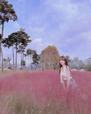 Han Gyu-ri Instagram - 단풍이 절정이네요🍂🍂
나두 핑크뮬리 보러왓지용
주말나들이😊
 #달빛새베이커리 #남양주카페