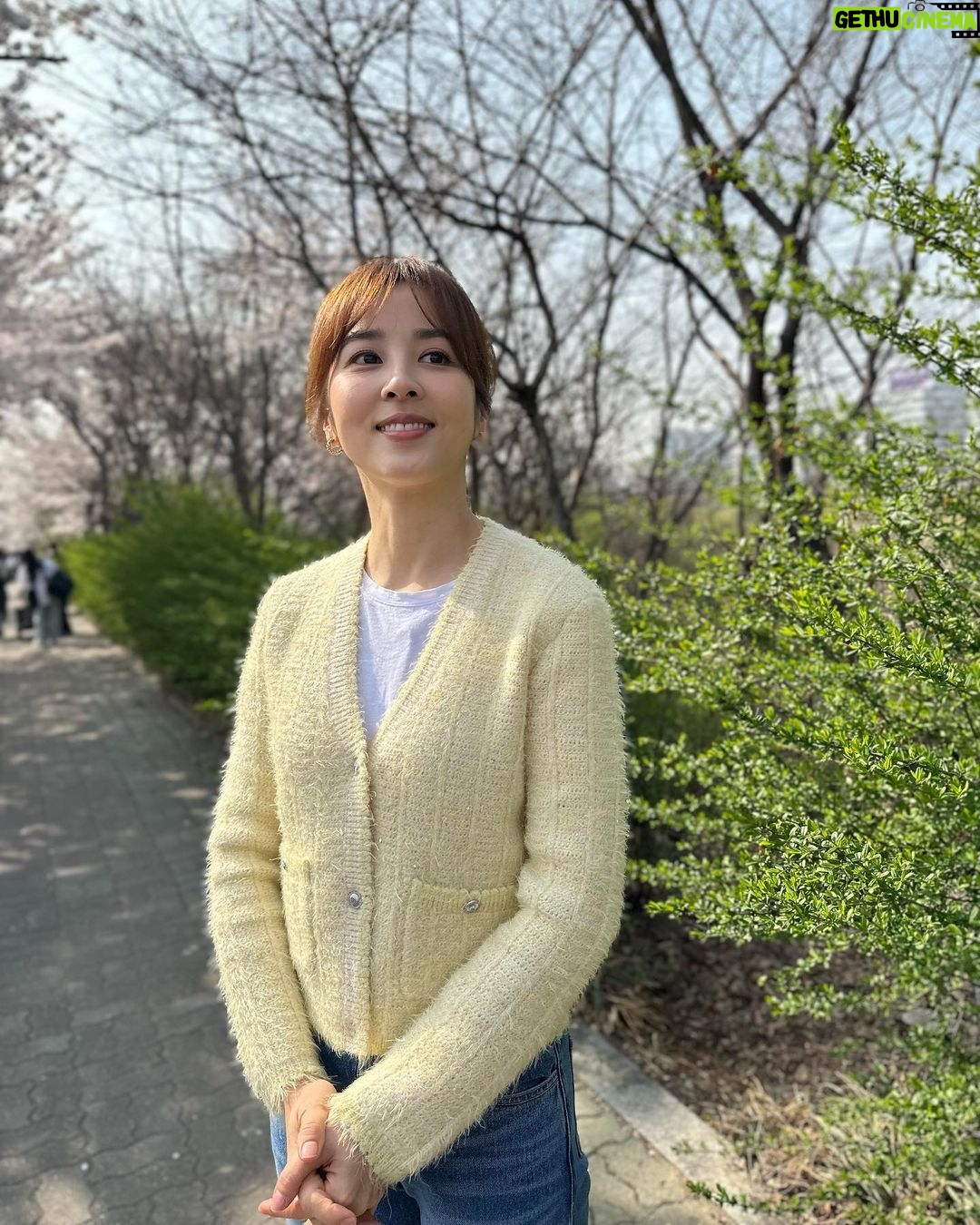 Han Hye-jin Instagram - #여의도 #벚꽃 촬영하며 벚꽃 구경했어요😀🌸