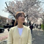 Han Hye-jin Instagram - #여의도 #벚꽃 촬영하며 벚꽃 구경했어요😀🌸