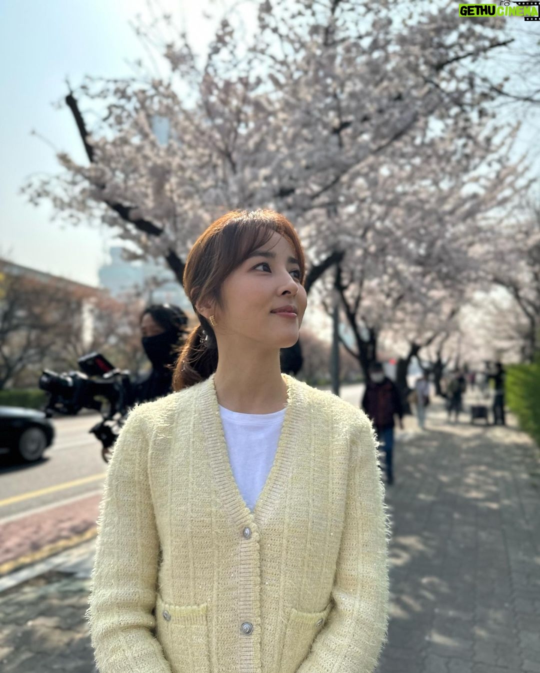 Han Hye-jin Instagram - #여의도 #벚꽃 촬영하며 벚꽃 구경했어요😀🌸