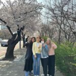 Han Hye-jin Instagram - #여의도 #벚꽃 촬영하며 벚꽃 구경했어요😀🌸