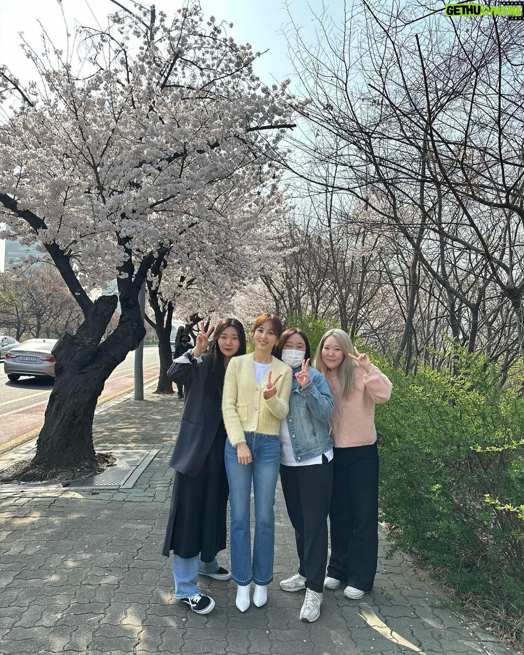 Han Hye-jin Instagram - #여의도 #벚꽃 촬영하며 벚꽃 구경했어요😀🌸