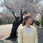 Han Hye-jin Instagram - #여의도 #벚꽃 촬영하며 벚꽃 구경했어요😀🌸