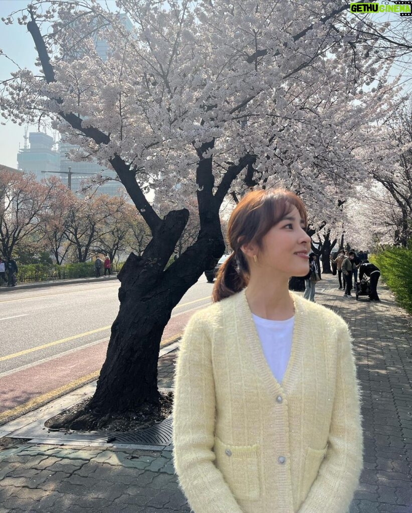 Han Hye-jin Instagram - #여의도 #벚꽃 촬영하며 벚꽃 구경했어요😀🌸