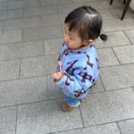Han Ji-hye Instagram - 겸둥이 ㅎㅎ #31갤슬이^^