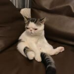 Han Lu Instagram - 黄儿 二胖儿 球球 馒头 😎