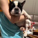 Han Lu Instagram - 还真挺沉的 哈哈
