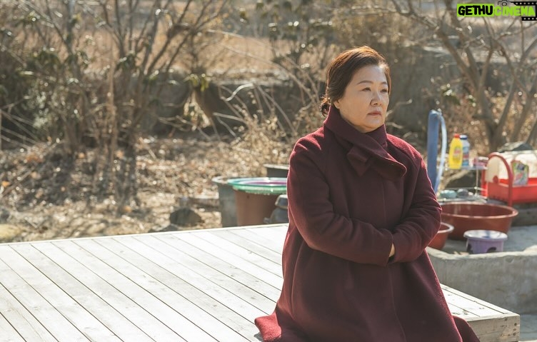 Han So-hee Instagram - 3일의 휴가 12월 6일 개봉 곱디 고우신 우리 해숙여왕님의 품속으로🫶🏻 #김해숙 #3일의휴가