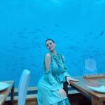 Hanady Mehanna Instagram - Undersea Restaurant off the bucket list 🐠🐙🐳🦈 #conradmaldives #themuraka Ithaa Underwater Restaurant, Maldives