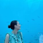 Hanady Mehanna Instagram - Undersea Restaurant off the bucket list 🐠🐙🐳🦈 #conradmaldives #themuraka Ithaa Underwater Restaurant, Maldives