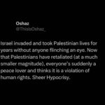 Hanady Mehanna Instagram - الله ينصرهم و يحرسهم و يصبرهم و يقويهم 🇵🇸 It has always been Palestine and it’ll always be 🕊️🇵🇸