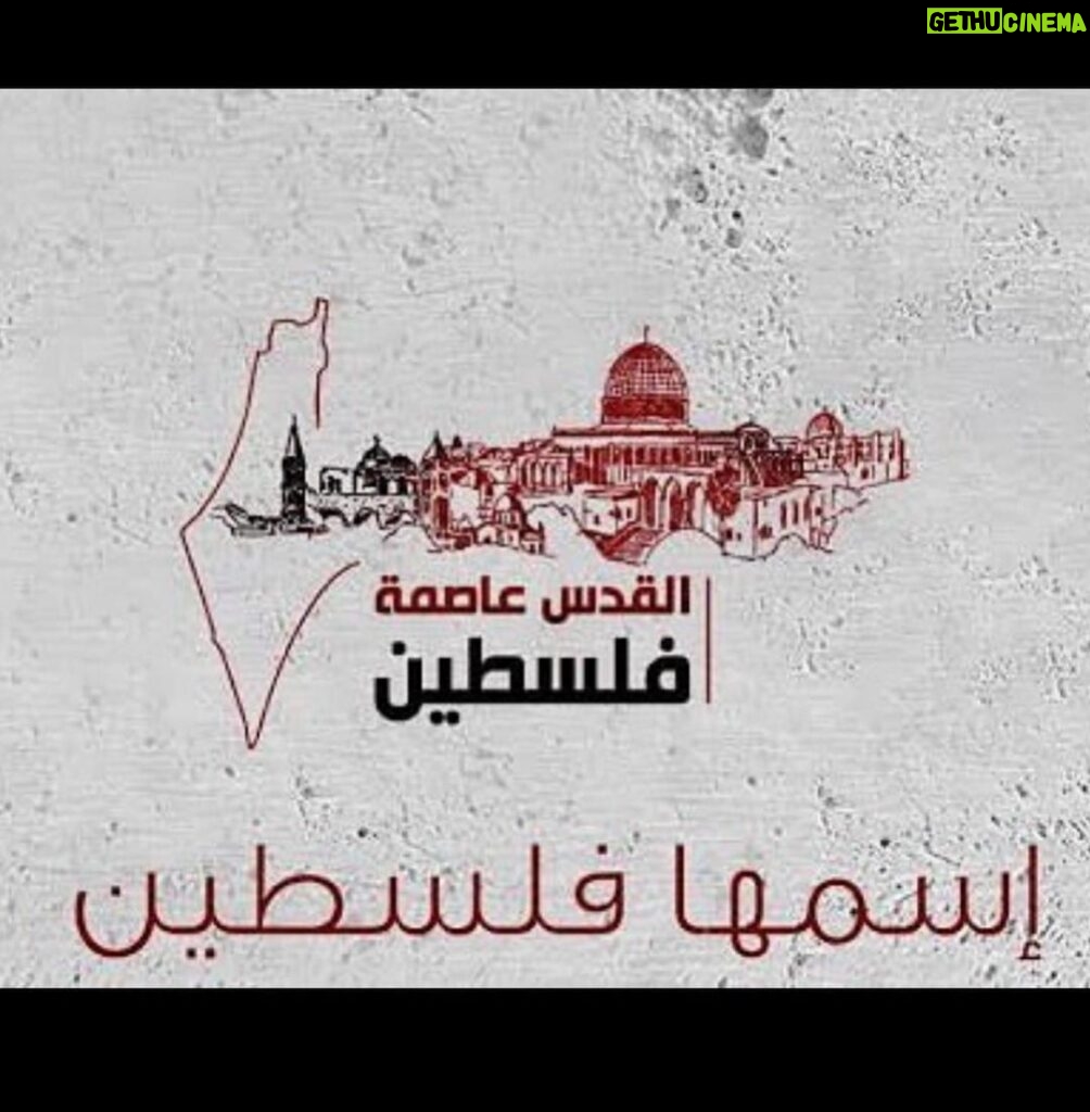 Hanady Mehanna Instagram - الله ينصرهم و يحرسهم و يصبرهم و يقويهم 🇵🇸 It has always been Palestine and it’ll always be 🕊️🇵🇸
