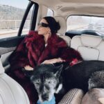 Hande Erçel Instagram - Mob Mom 🕶️