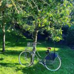 Hanna Verboom Instagram - Ik word echt enorm blij van merken die een businessmodel bedenken dat draait op recycling. @roetzbikes is zo’n merk en recyclet oude fietsframes. Toen ik een tijd geleden een fiets zocht - fietsen is nogal een ding in ons gezin momenteel:) - was de keuze dan ook snel gemaakt. In hun Fair factory mocht ik mijn eigen model en kleur kiezen, maar kreeg ook gelijk een goede indruk van hoe ze werken. Ik kon daar met eigen ogen zien hoe alles wordt hergebruikt en samengesteld. @roetzbikes werkt in hun fabriek met mensen met een afstand tot de arbeidsmarkt en daarbij is het cirkeltje - wieltje- rond 🤓😂 Onlangs ook Jacky leren fietsen. Ze rijdt nu de hele dijk af, zo stoer!! 🚲🚲🚲