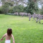 Hanna Verboom Instagram - Thuis. Zo voelt het om hier deze tijd met de kindjes te zijn. Ik was twee toen we naar Kenia verhuisde en met hun hier zijn voelt alsof het cirkeltje rond is. Oude vrienden (die voelen als familie) omhelzen, projecten bezoeken, de geuren, geen wifi, de dieren en bovenal de liefste, mooiste mensen. Asante Sana 🇰🇪