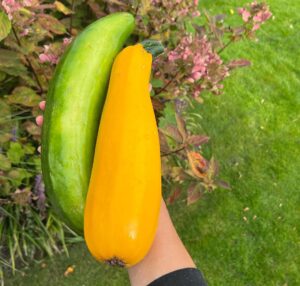 Hanna Verboom Instagram - Wist je dat 80% van de producten in onze supermarkten ongezond is? Sterker nog, gezond eten wordt alsmaar duurder terwijl ongezond eten relatief goedkoop blijft. Je ziet gewoon dat we op verschillende lagen een systeem hebben gecreëerd, waarin ongezonde keuzes aantrekkelijk gemaakt worden. En hierdoor wordt het heel moeilijk voor ons en voor onze kinderen om gezonde keuzes te maken en dat heeft dan weer een gigantisch grote invloed op onze (mentale) gezondheid. Hierover heb ik samen met o.a. de @hartstichting @renzeklamer en @diabetesfonds een serie aan korte docu’s over gemaakt. Binnenkort gaan we live maar op www.opzoeknaargezond.nl kan je alvast meer info en feiten uit onze research terug vinden. Oh ja en slide naar rechts voor mijn eigen ‘gezondeten’ productie 😂 Getting there! 🥕🌽🥦

#opzoeknaargezond van @gezondegeneratie is een initiatief van @diabetesfonds @Hartstichting @mldstichting @nierstichting_nederland en partners, samen op weg naar een #gezondegeneratie. Lees meer op www.opzoeknaargezond.nl.