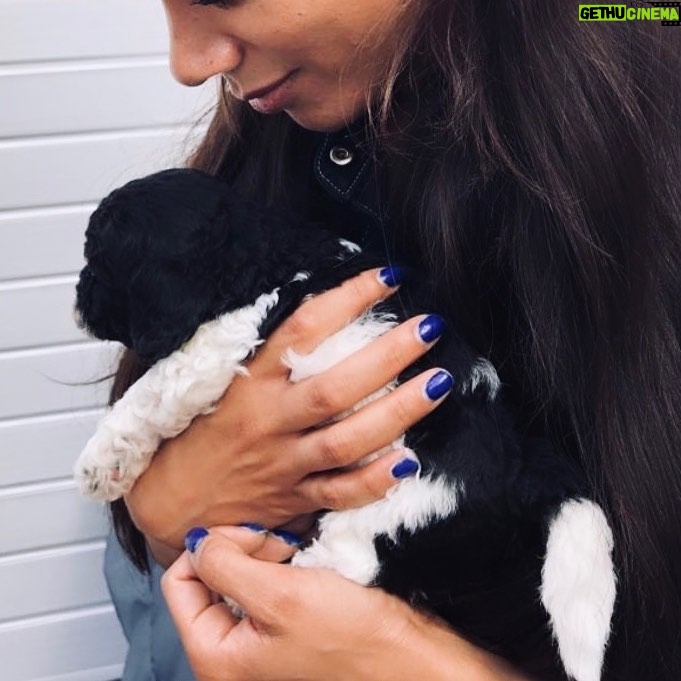 Hannah John-Kamen Instagram - Meet Mowgli ♥️🐶