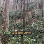 Hannah Kasulka Instagram - Had the best time staying @mulberrygapadvbasecamp & exploring Elijay🌲 💚 Ellijay Georgia Blue Ridge Mountains