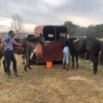 Hannah Kasulka Instagram - 🐴 Fun fact: if you feed a horse it will remember you for 7 years. I too will remember you if you feed me for 7 years. Still dreaming of @duckduckgoatchi @uchiaustin & ms faye’s sweet peas 🤠 🤤 Rolling Hills Horse Ranch