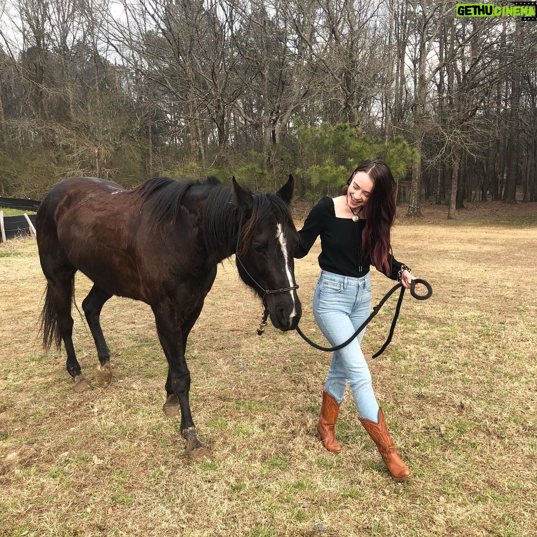 Hannah Kasulka - 3.3K Likes - 🐴 Fun fact: if you feed a horse it will remember you for 7 years. I too will remember you if you feed me for 7 years. Still dreaming of @duckduckgoatchi @uchiaustin & ms faye’s sweet peas 🤠 🤤