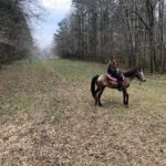 Hannah Kasulka Instagram - 🐴 Fun fact: if you feed a horse it will remember you for 7 years. I too will remember you if you feed me for 7 years. Still dreaming of @duckduckgoatchi @uchiaustin & ms faye’s sweet peas 🤠 🤤 Rolling Hills Horse Ranch