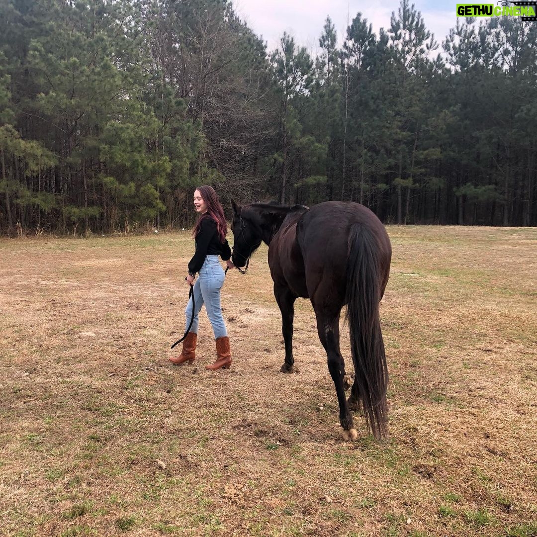 Hannah Kasulka - 3.3K Likes - 🐴 Fun fact: if you feed a horse it will remember you for 7 years. I too will remember you if you feed me for 7 years. Still dreaming of @duckduckgoatchi @uchiaustin & ms faye’s sweet peas 🤠 🤤
