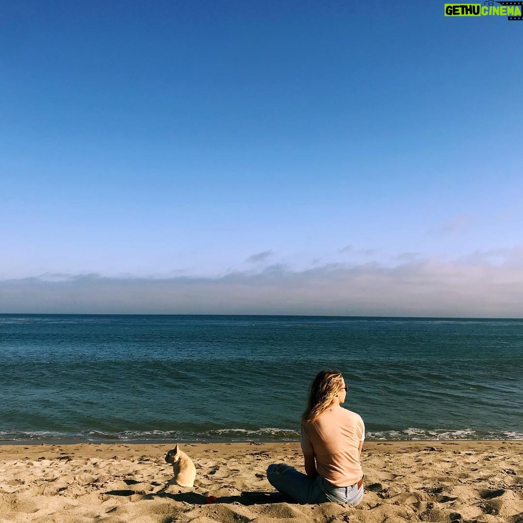 Hannah Kasulka - 2.4K Likes - Went to Leala’s favorite place today because unfortunately she has to have her leg amputated tomorrow. The good news is she won’t be in pain anymore and she’ll be even cuter which is nearly impossible.